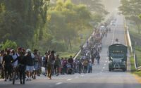 migration