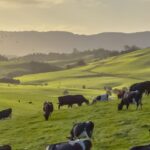 Sustainable Livestock Farming