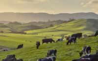 Sustainable Livestock Farming