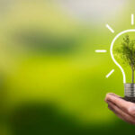 Light bulb with growing tree. Ecological friendly and sustainable environment