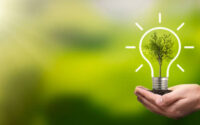 Light bulb with growing tree. Ecological friendly and sustainable environment