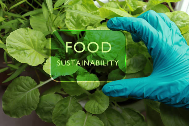 Scientist holding virtual card with food sustainability word. Green economy, sustainable business.