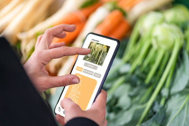 Close up photo of a smartphone in hand with the open application for recognizing vegetables and fruit. An unrecognizable woman is scanning kohlrabi on the market with the phone app, which shows the nutritional value, health benefits, and meal recipes.