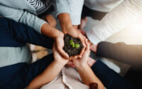 Closeup shot of a group of businesspeople holding a plant growing out of soil