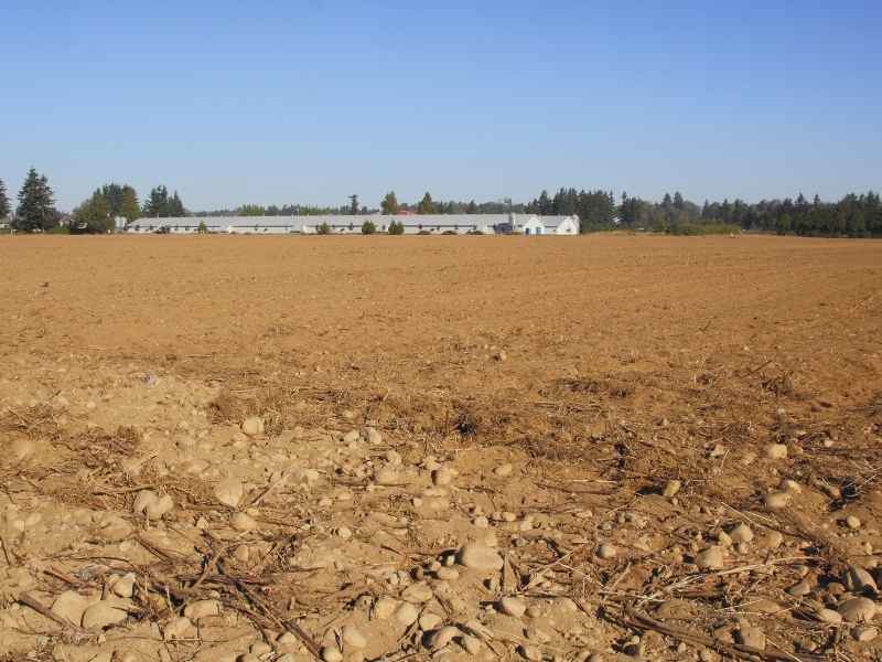 Dry, barren farmland under clear skies, illustrating drought pressures that increase the importance of AgriTech in Central America.