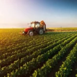 The Positive Impact of Agricultural Cooperatives on the Local Economy