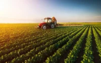 The Positive Impact of Agricultural Cooperatives on the Local Economy